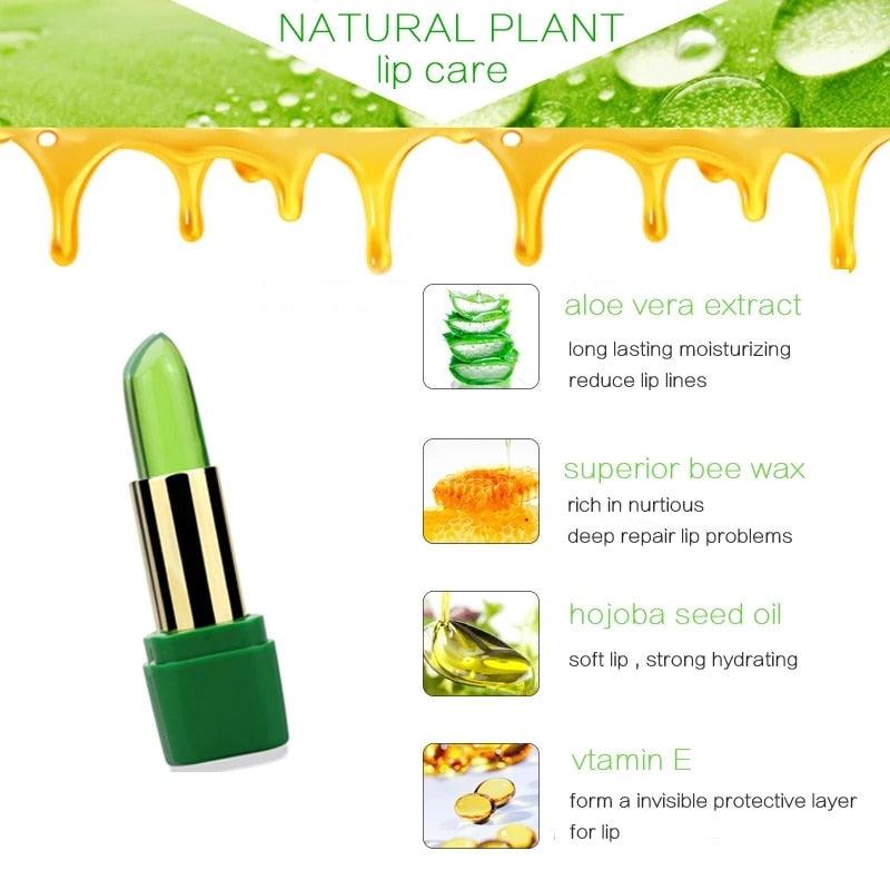 Aloe Vera Moisturizing Lip Balm - Amanda beauty